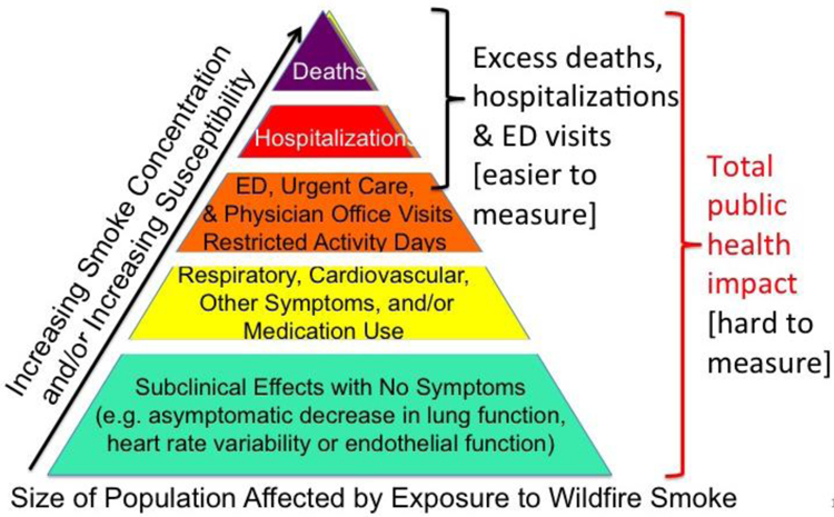 Public health impacts of wildfire smoke